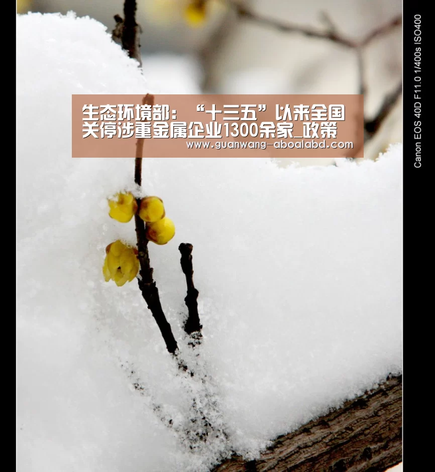 新葡京娱乐官网