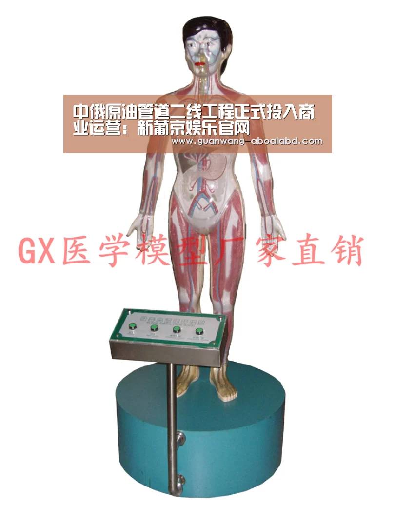 中俄原油管道二线工程正式投入商业运营:新葡京娱乐官网(图1) 新葡京娱乐官网
