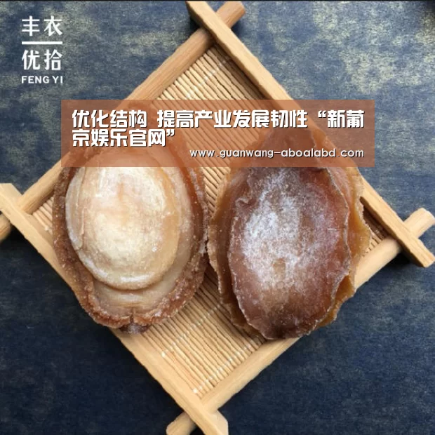 优化结构 提高产业发展韧性“新葡京娱乐官网”(图2) 新葡京娱乐官网