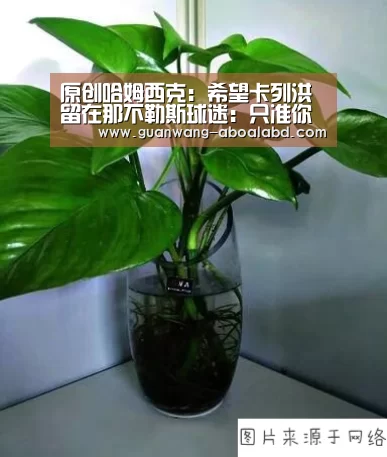 新葡京娱乐官网