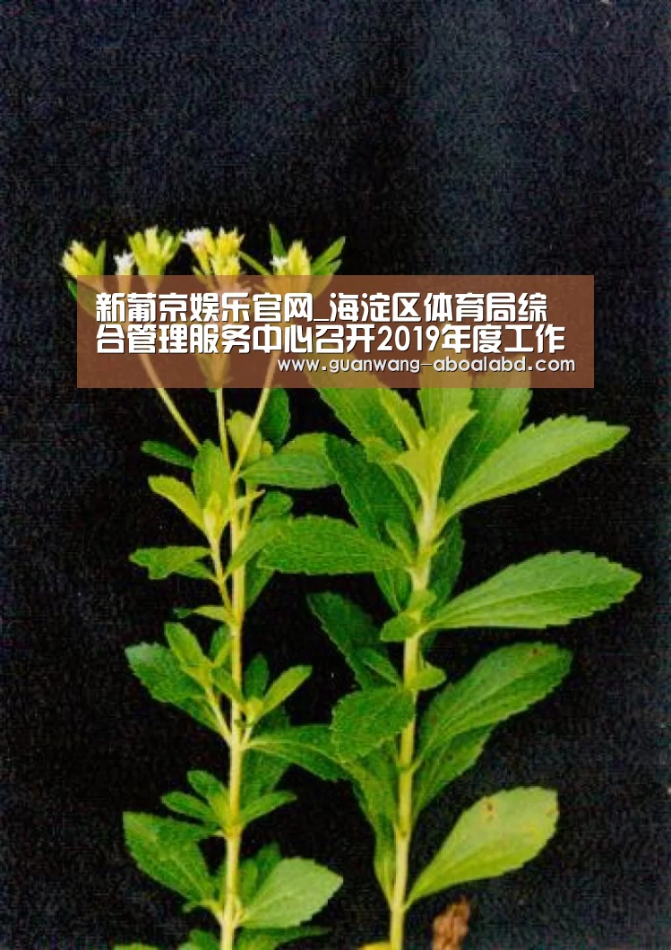 新葡京娱乐官网_海淀区体育局综合管理服务中心召开2019年度工作考核总结会(图2) 新葡京娱乐官网